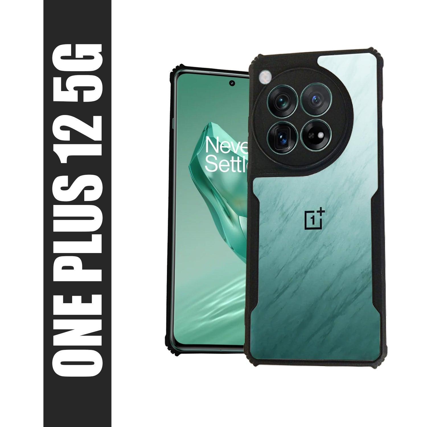 AIBEX Crystal Clear Back Cover Case for Oneplus 12 | Shock Proof Design | Transparent Back Cover Case - Aibex